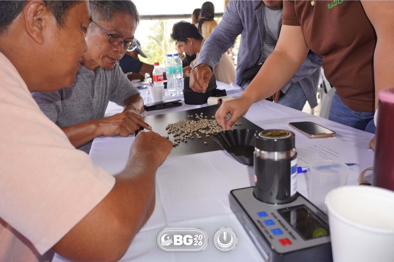 Coffee growers grade Basilan green coffee beans at a workshop in Lamitan City.