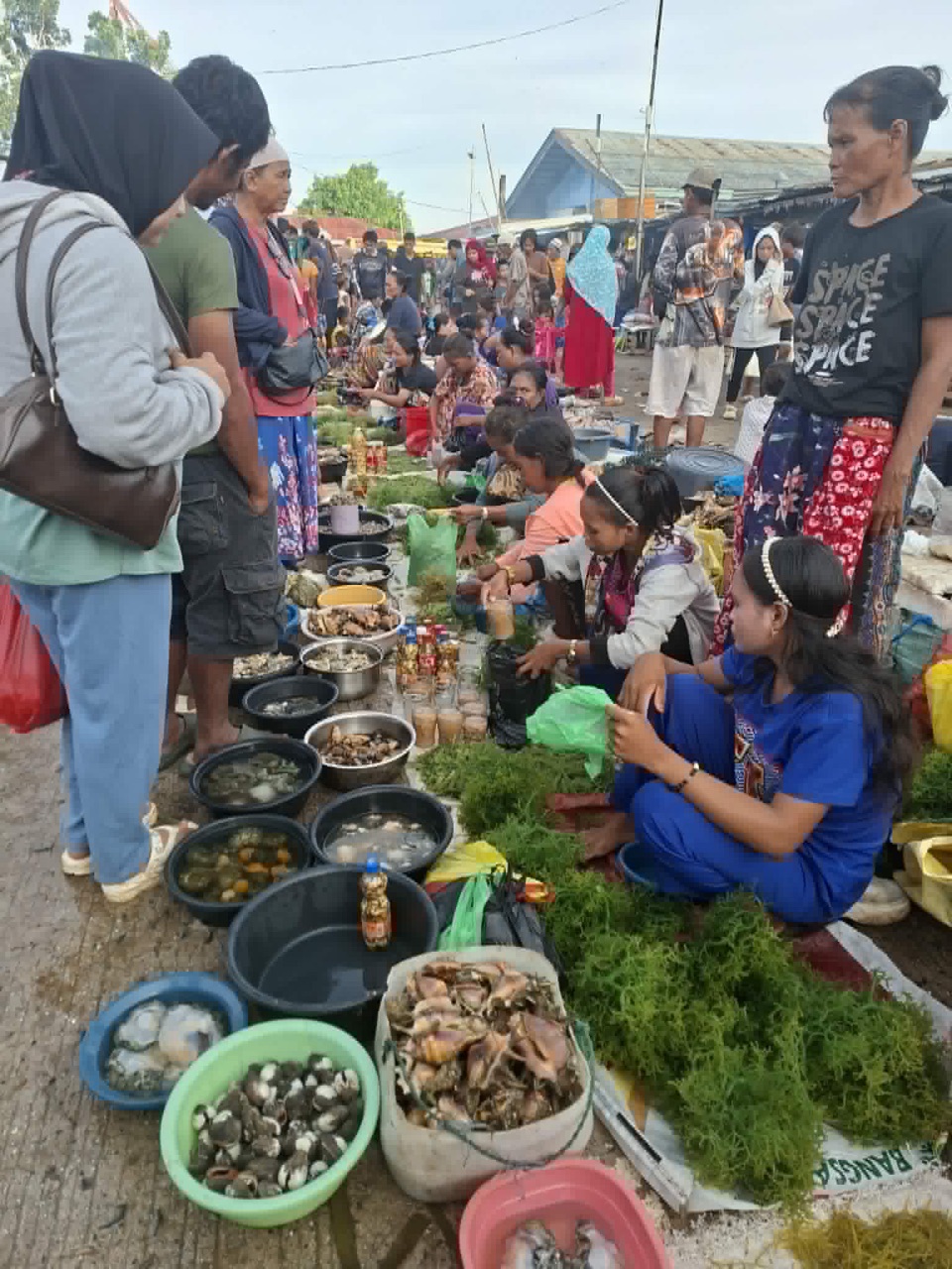 Badjao traders lay out heaps of seaweed, shellfish and fish at the Adlaw Pagtabuh-tabuh market.